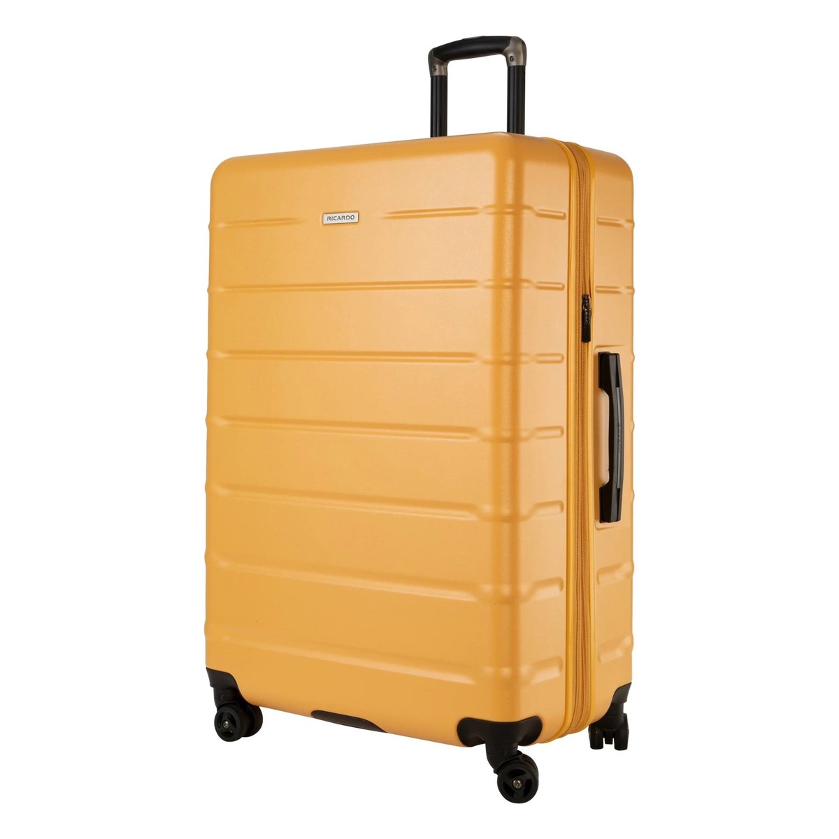 Ricardo Cambria Hardside Large Check-In Expandable Spinner
